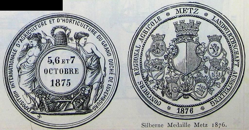 Medaille (Metz 1876)