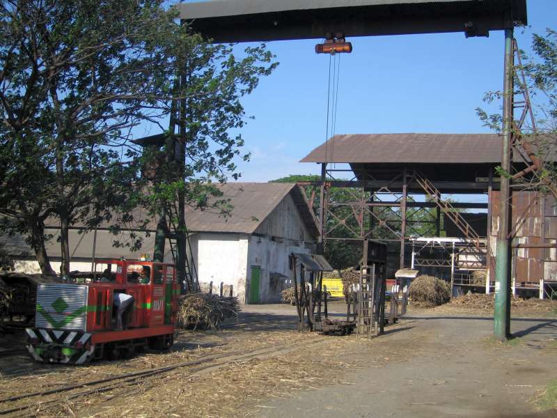 Pabrik Gula Wonolangan: Zuckerrohr-Umladung