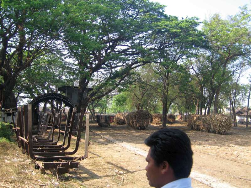 Pabrik Gula Pagotan: Abstellgleisgruppe mit schönen Bäumen