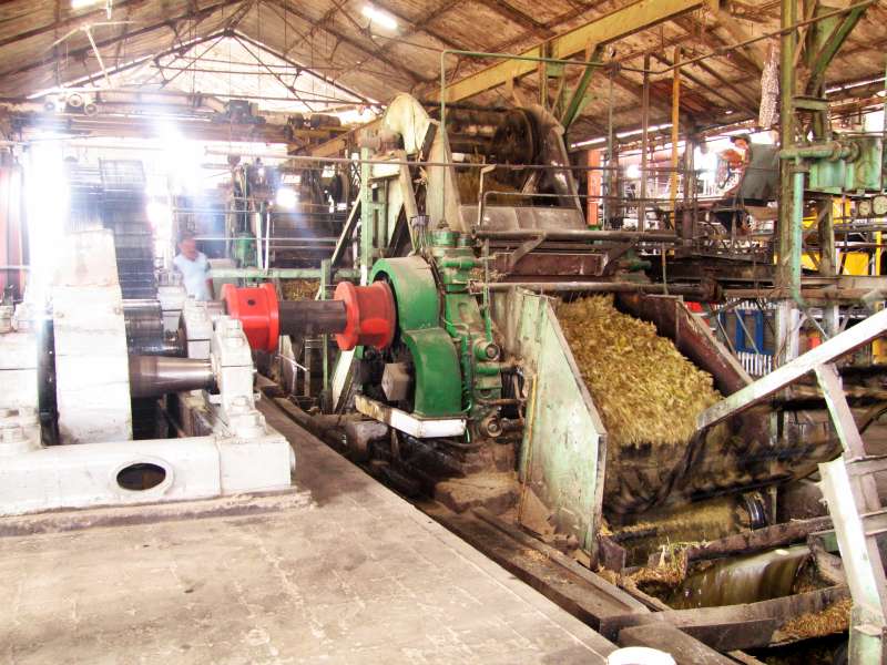 Pabrik Gula Wringinanom: Zuckerrohrmühle / Stasion giling