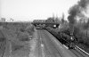 Dampflokomotive: 01 1057, vor D 394; Bf Münster Geist