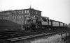 Dampflokomotive: 78 393, vor 2666 aus Gronau; bei Münster Hbf