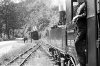Dampflokomotive: 99 581, Kreuzung mit 99 582; Bf Niederglobenstein