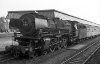Dampflokomotive: 01 209 vor Reisezug; Bf Münster Hbf