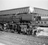 Dampflokomotive: 01 199, vor E 566, Bf Münster Hbf