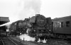 Dampflokomotive: 03 1054, Anfahrt vor D 282; Bf Münster Hbf