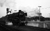 Dampflokomotive: 01 1001, vor D nach Köln; Bf Münster Hbf