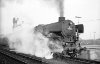Dampflokomotive: 01 1085, vor D 96?; Bf Münster Hbf