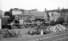 Dampflokomotive: 01 216; Bw Paderborn