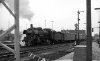 Dampflokomotive: 38 2703, vor Zug; Bf Münster Hbf