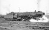 Dampflokomotive: 01 194; Bw Münster