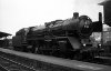 Dampflokomotive: 01 080 rangiert an D 322; Bf Trier Hbf