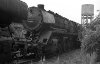 Dampflokomotive: 44 1038; Bw Minden
