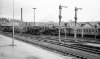 Dampflokomotive: 50 609, links neben 50 304; Bw Friedrichshafen