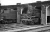 Dampflokomotive: 64 496, Tender von 50 487 und 3057; Bw Plattling