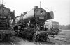 Dampflokomotive: 50 2305; Bw Köln Eifeltor
