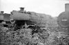 Dampflokomotive: 50 2479; Bw Duisburg Wedau