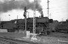 Dampflokomotive: 44 1070, vor Güterzug; Bf Münster Hbf