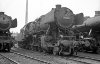 Dampflokomotive: 50 829; Bw Hamburg Harburg
