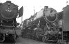Dampflokomotive: 50 2333; Bw Hamburg Harburg