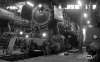 Dampflokomotive: 50 931; Bw Hamburg Harburg Lokschuppen