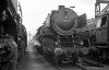 Dampflokomotive: 01 170; Bw Hannover Hgbf