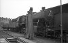 Dampflokomotive: 50 2443; Bf Buchholz Kr. Harburg