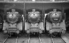 Dampflokomotive: 03 092, neben 03 291 und 03 247; Bw Hamburg Altona