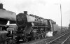 Dampflokomotive: 44 669; Bw Münster