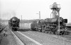 Dampflokomotive: 01 209 neben 01 1104; Bw Münster
