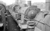 Dampflokomotive: 78 368; AW Schwerte