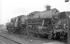 Dampflokomotive: 50 3104; Bw Duisburg Wedau