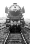 Dampflokomotive: 18 316; Bw Minden