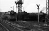 Dampflokomotive: 10 001, 01 1099 und 01 1070; Bw Münster