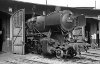 Dampflokomotive: 50 1816; Bw Uelzen Lokschuppen