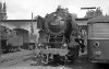Dampflokomotive: 50 2315; Bw Uelzen