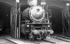 Dampflokomotive: 01 206; Bw Hannover Hgbf