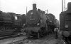Dampflokomotive: 38 1250; Bw Erfurt P