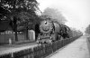 Dampflokomotive: 01 226, vor Zug; Bf Groß-Kreutz