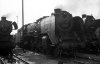 Dampflokomotive: 01 016, zwischen 41 279 und 03 257; Bw Magdeburg Hbf