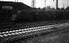 Dampflokomotive: 23 1099; Bw Halle P