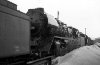Dampflokomotive: 03 186; Bw Halle P
