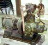 Kleindampfmaschine: Dampfmotor: Forncett Industrial Steam Museum